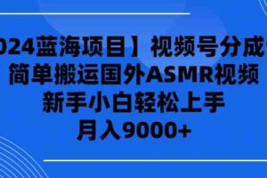 （9743期）【2024蓝海项目】视频号分成计划，无脑搬运国外ASMR视频，新手小白轻松…