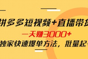 （3948期）拼多多短视频+直播带货，一天赚3000+独家快速爆单方法，批量起号