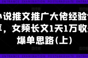 小说推文推广大佬经验分享，女频长文1天1万收益爆单思路(上)