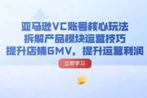 （11848期）亚马逊VC账号核心玩法，拆解产品模块运营技巧，提升店铺GMV，提升运营利润