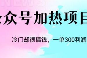 （6916期）冷门公众号加热项目，一单利润300+