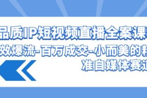 高品质IP短视频直播全案课程，有效爆流百万成交，小而美的精准自媒体赛道