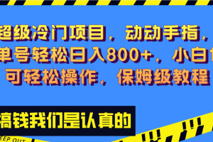 （8205期）超级冷门项目,动动手指，单号轻松日入800+，小白也可轻松操作，保姆级教程