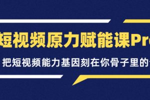 （3570期）短视频原力赋能课Pro，把短视频能力基因刻在你骨子里的课