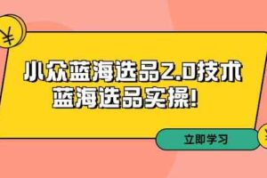 拼多多培训第33期：小众蓝海选品2.0技术-蓝海选品实操