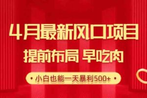 （10137期）28.4月最新风口项目，提前布局早吃肉，小白也能一天暴利500+