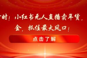 新春倒计时！小红书无人直播卖年货，无货源撸金，抓住最大风口【揭秘】