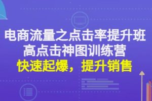 电商流量之点击率提升班+高点击神图训练营：快速起爆，提升销售！