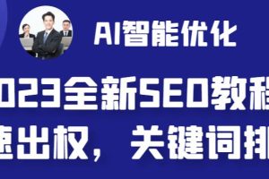 （6554期）2023最新网站AI智能优化SEO教程，简单快速出权重，AI自动写文章+AI绘画配图