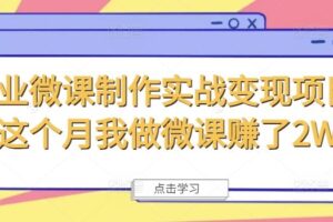 商业微课制作实战变现项目，这个月我做微课赚了2W+