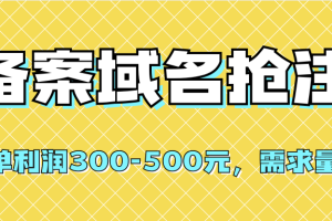 （7277期）【全网首发】备案域名抢注，一单利润300-500元，需求量大