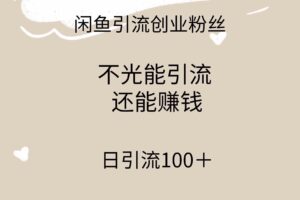 （9290期）闲鱼精准引流创业粉丝，日引流100＋，引流过程还能赚钱