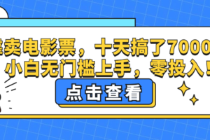 （12665期）靠卖电影票，十天搞了7000+，小白无门槛上手，零投入！