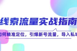 （12382期）线 索 流 量-实战指南：如何精准定位，引爆新号流量，导入私域