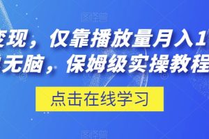 流量变现，仅靠播放量月入1W＋，简单无脑，保姆级实操教程【揭秘】