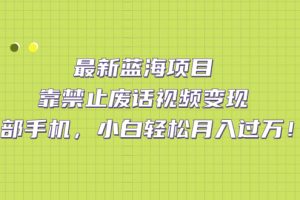 （7276期）最新蓝海项目，靠禁止废话视频变现，一部手机，小白轻松月入过万！