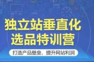 独立站垂直化选品特训营，打造产品壁垒，提升网站利润