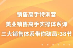 （10939期）销售-高手特训营，美业-销售高手实操体系课，三大销售体系带你破局-38节