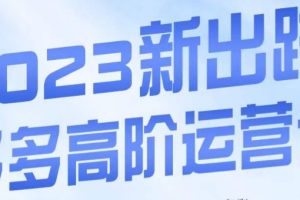 大炮·多多高阶运营课，3大玩法助力打造爆款，实操玩法直接亮出干货