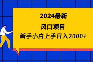 （9483期）2024最新风口项目 新手小白日入2000+