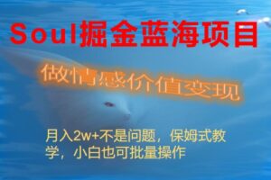 （8531期）Soul掘金蓝海项目细分赛道，做情感价值变现，月入2w+不是问题