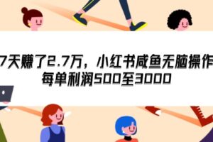 （12192期）7天收了2.7万，小红书咸鱼无脑操作，每单利润500至3000