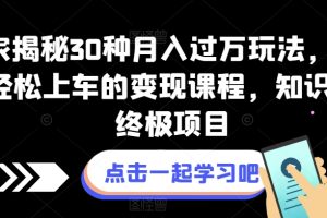 独家揭秘30种月入过万玩法，让小白轻松上车的变现课程，知识付费终极项目【揭秘】