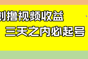 （7855期）最新撸视频收益玩法，一天轻松200+