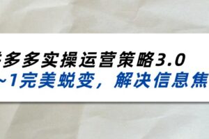 （11658期）2024_2025拼多多实操运营策略3.0，0~1完美蜕变，解决信息焦虑（38节）