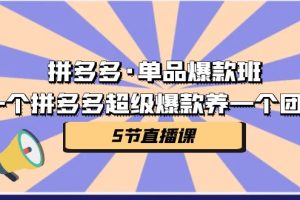 （7019期）拼多多·单品爆款班，一个拼多多超级爆款养一个团队（5节直播课）