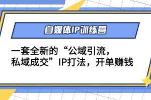 （4290期）自媒体IP训练营(12+13期)一套全新的“公域引流，私域成交”IP打法 开单赚钱