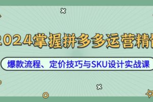 （12703期）2024掌握拼多多运营精髓：爆款流程、定价技巧与SKU设计实战课