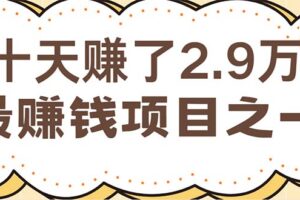 （12491期）闲鱼小红书赚钱项目之一，轻松月入6万+项目