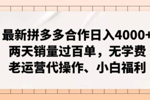 （11343期）最新拼多多合作日入4000+两天销量过百单，无学费、老运营代操作、小白福利