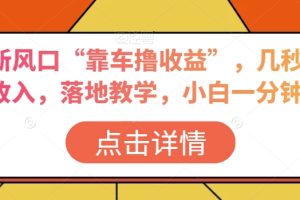 抖音新风口“靠车撸收益”，几秒视频过W收入，落地教学，小白一分钟上手【揭秘】