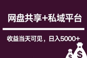 新用户推荐网盘共享+私域平台，无需粉丝即可轻松起号，收益当天可见，单日已破5000+