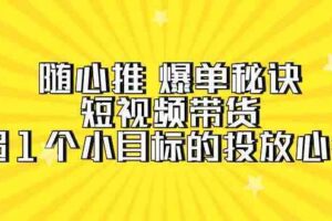 随心推爆单秘诀，短视频带货-超1个小目标的投放心得（7节视频课）