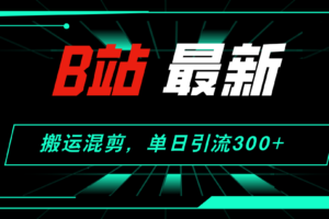 （12085期）B站最新，搬运混剪，单日引流300+创业粉