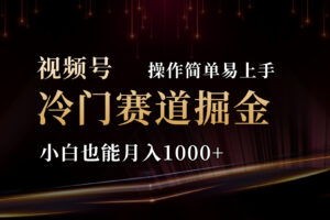 （11125期）2024视频号三国冷门赛道掘金，操作简单轻松上手，小白也能月入1000+