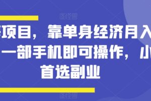 蓝海项目，靠单身经济月入过万，一部手机即可操作，小白首选副业【揭秘】