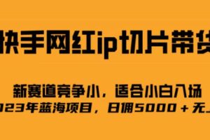 （6832期）快手网红ip切片新赛道，竞争小事，适合小白  2023蓝海项目