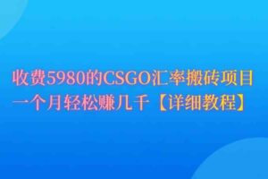 （9776期）CSGO装备搬砖，月综合收益率高达60%，你也可以！