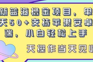 （11287期）最新蓝海撸金项目，单号一天50+， 支持苹果安卓双端，小白轻松上手 当…