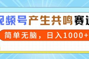 （9133期）2024年视频号，产生共鸣赛道，简单无脑，一分钟一条视频，日入1000+