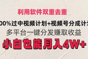 （11862期）利用软件双重去重，100%过中视频+视频号分成计划小白也可以月入4W+