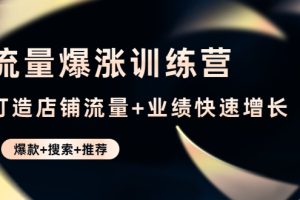 （4487期）流量爆涨训练营：打造店铺流量+业绩快速增长 (爆款+搜索+推荐)