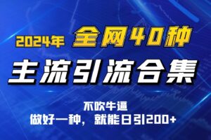 2024年全网40种暴力引流合计，做好一样就能日引100+