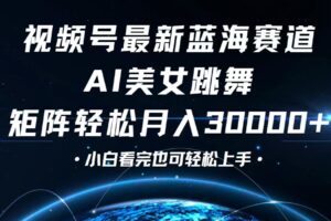 （12594期）视频号最新蓝海赛道，小白也能轻松月入30000+