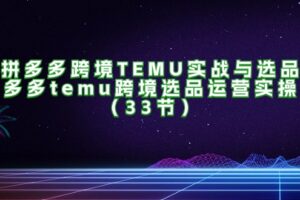 （11934期）拼多多跨境TEMU实战与选品，多多temu跨境选品运营实操（33节）