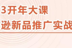 2023亚马逊新品推广实战技巧，线下百万美金课程的精简版，简单粗暴可复制，实操性强的推广手段